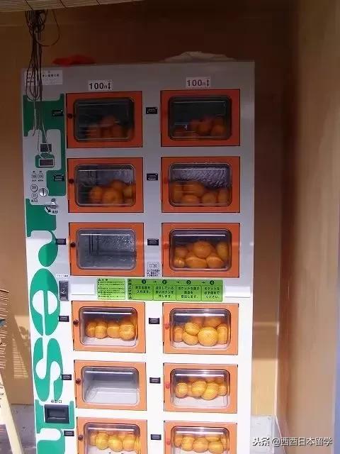 日本自动贩卖机器,日本自动贩卖机能买到什么