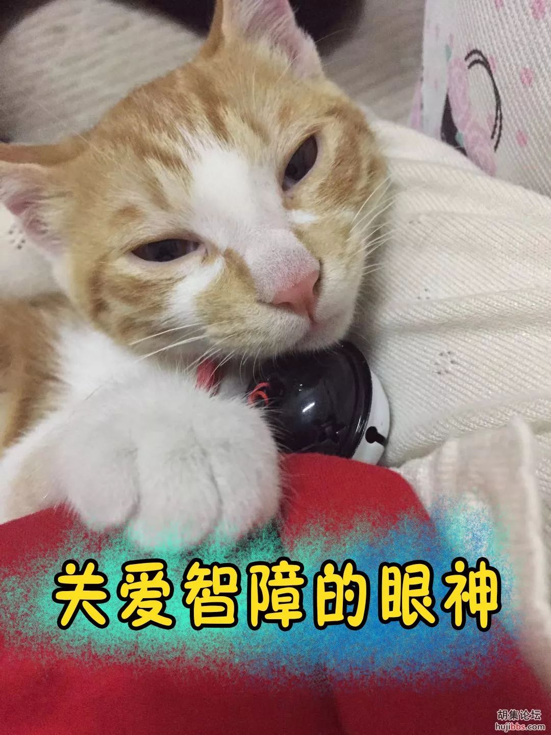 散文好久不见配音,朗诵经典散文好久不见