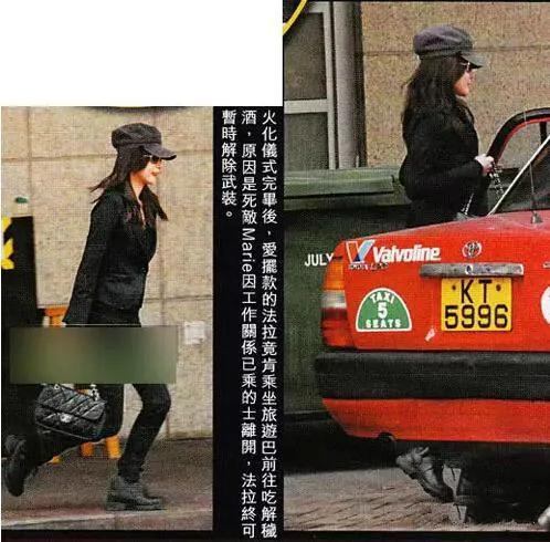 诸葛梓岐婚姻危机,诸葛梓岐豪门