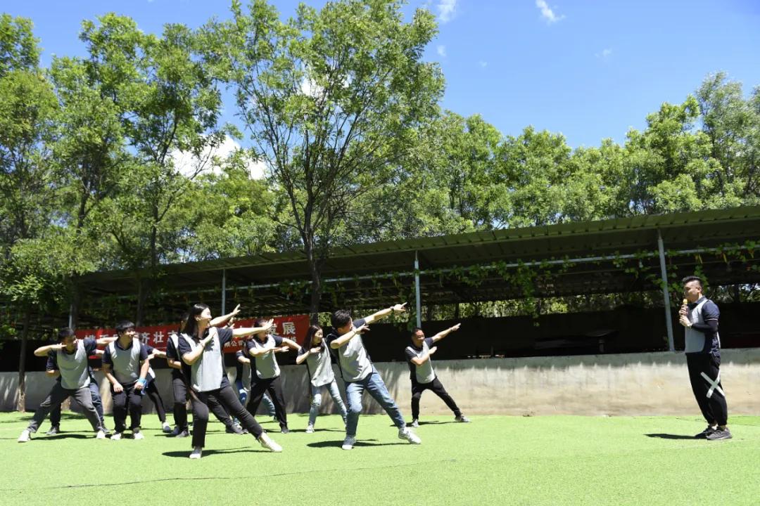 凌阳科技有限公司,凌阳科技单片机