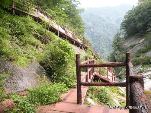 被誉为物种基因库,南阳宝天曼旅游景区
