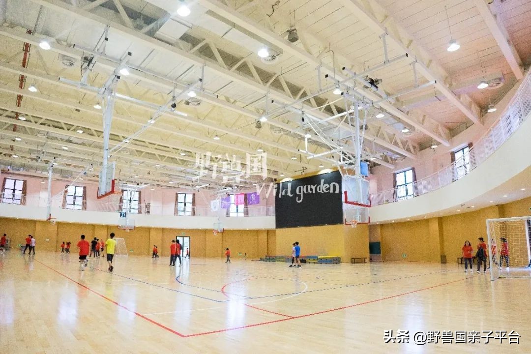 一年20万学费的清澜山学校,都在学些什么?