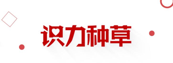 学生党必看的彩妆合集有哪些,贫民窟女孩必看的平价彩妆