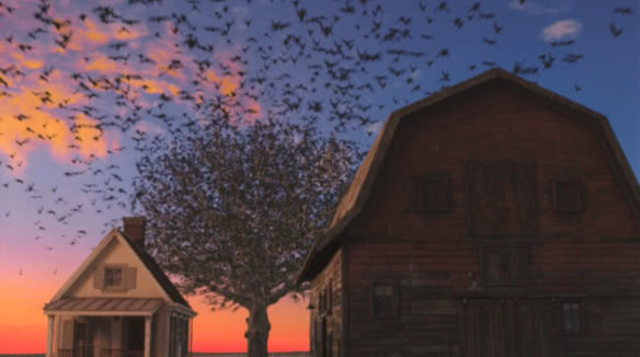 如果动物统治了地球人类会怎么样,人类消失什么动物会统治地球