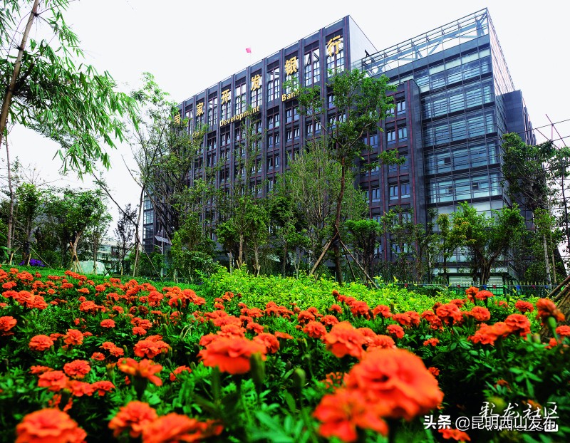 壮丽70年奋斗新时代微视频,壮丽70年奋斗新时代五分钟视频