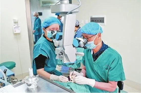 爱尔眼科为什么跌这么惨,爱尔眼科还会涨吗