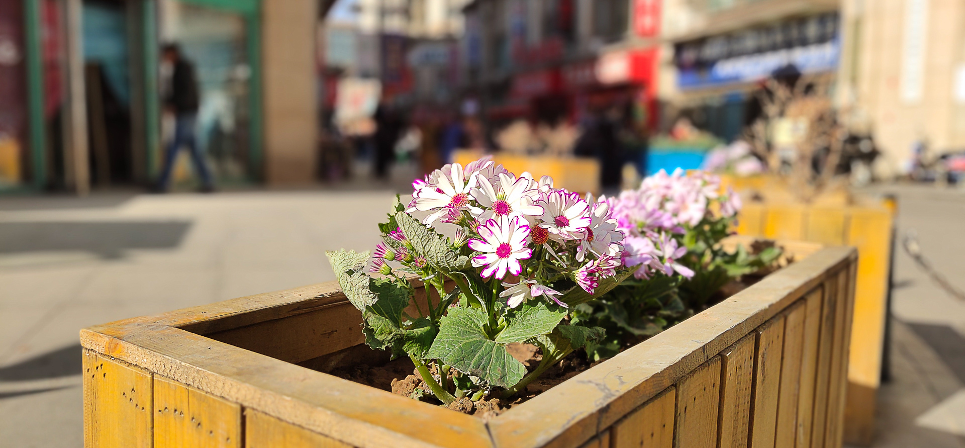 小白测评vivoiqoo深度体验,vivoiqoo系列综合性能怎么样