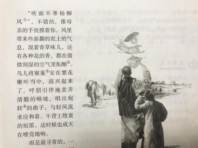 七年《春》,看资深教师讲解全文和课后题,帮助学生学语文