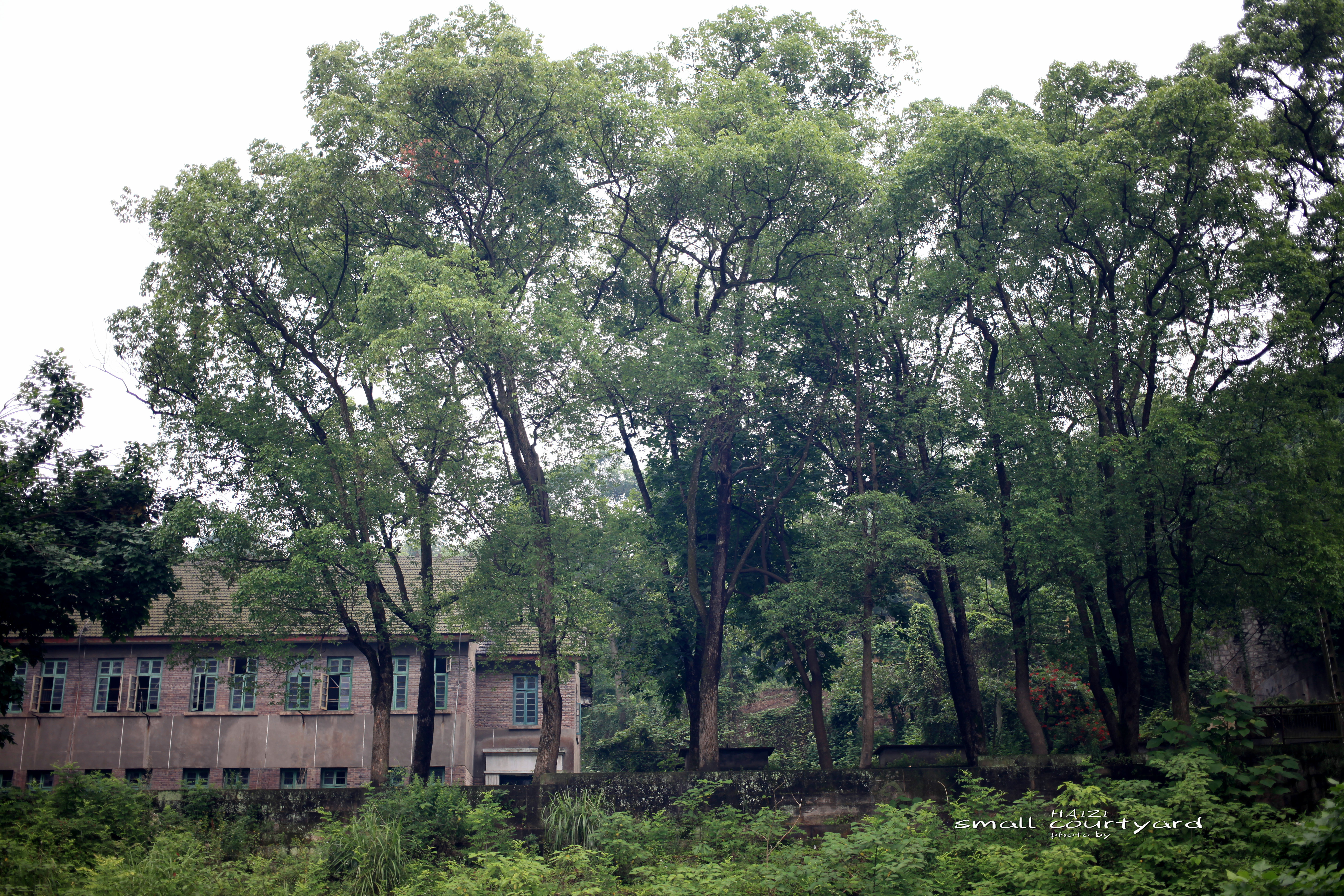 重庆市机械工业部第三设计研究院,重庆北碚三线老工厂遗址