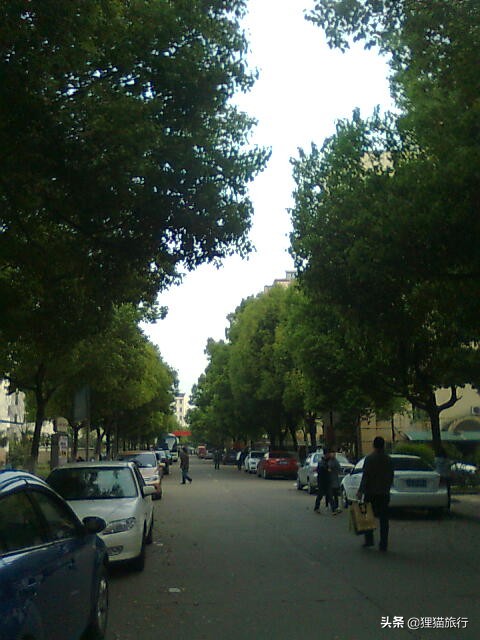 南京的秦淮河,秦淮河南京的秦淮河