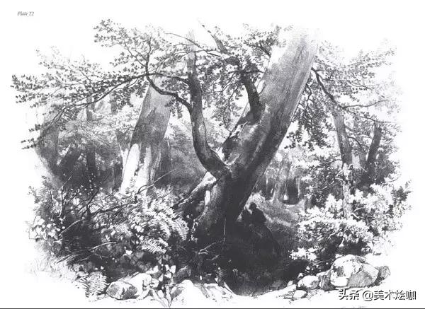 静物素描风景图临摹,简单又好画的彩铅素描风景图