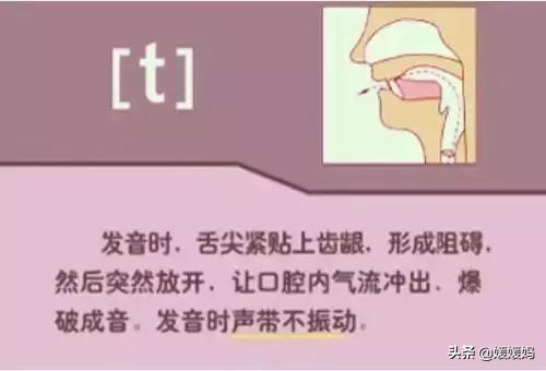 音标教学视频48个快速记忆法,英语48个音标发音教程视频