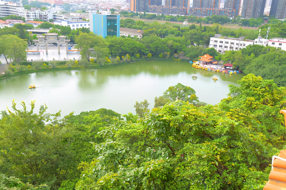 湿地公园菊展在哪,中山菊展一日游