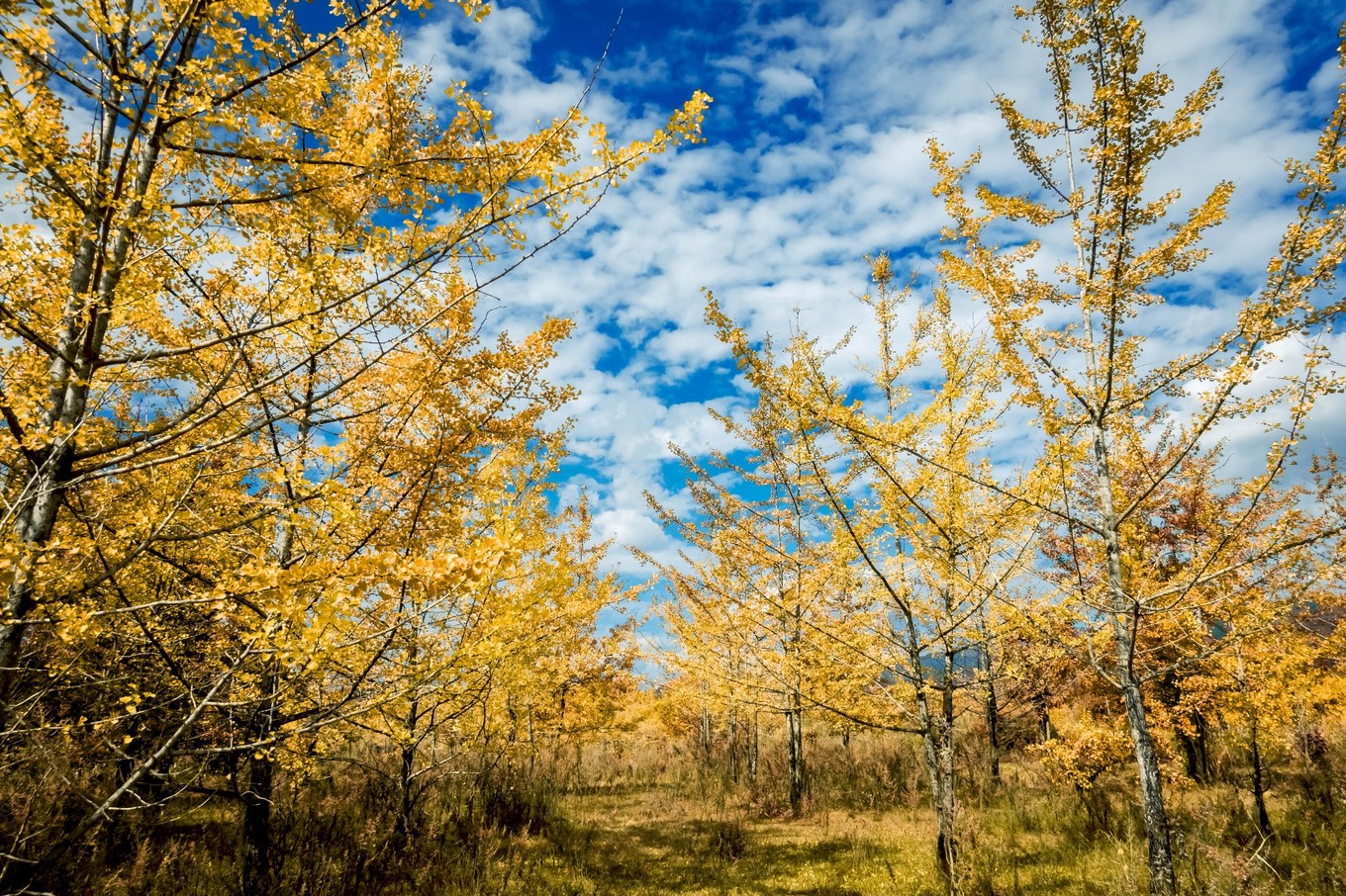 云南腾冲9月旅游攻略,云南腾冲旅游攻略秋天