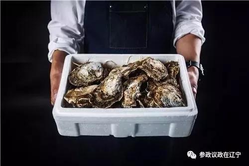 生蚝小镇：醇鲜大连味留香唇齿间