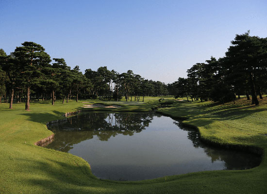 高尔夫球球场规则,高尔夫球标准比赛场地