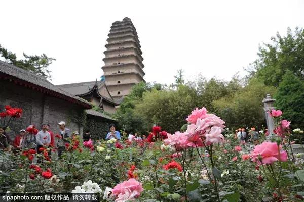 6月机票“白菜价”！从北京出发到国内热门旅行地的特价攻略来啦！