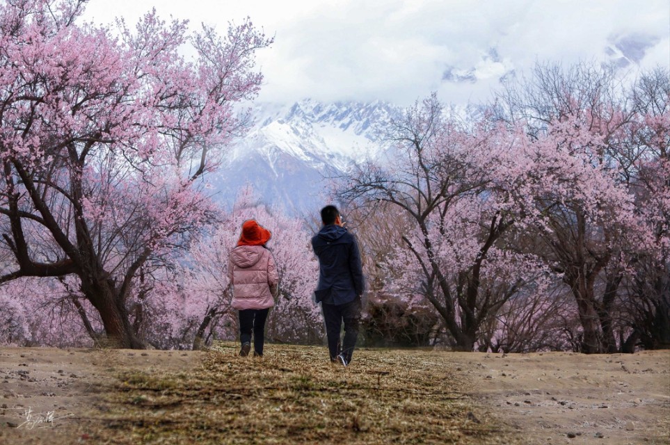 陌上花开岁月如故,陌上花开岁月无恙