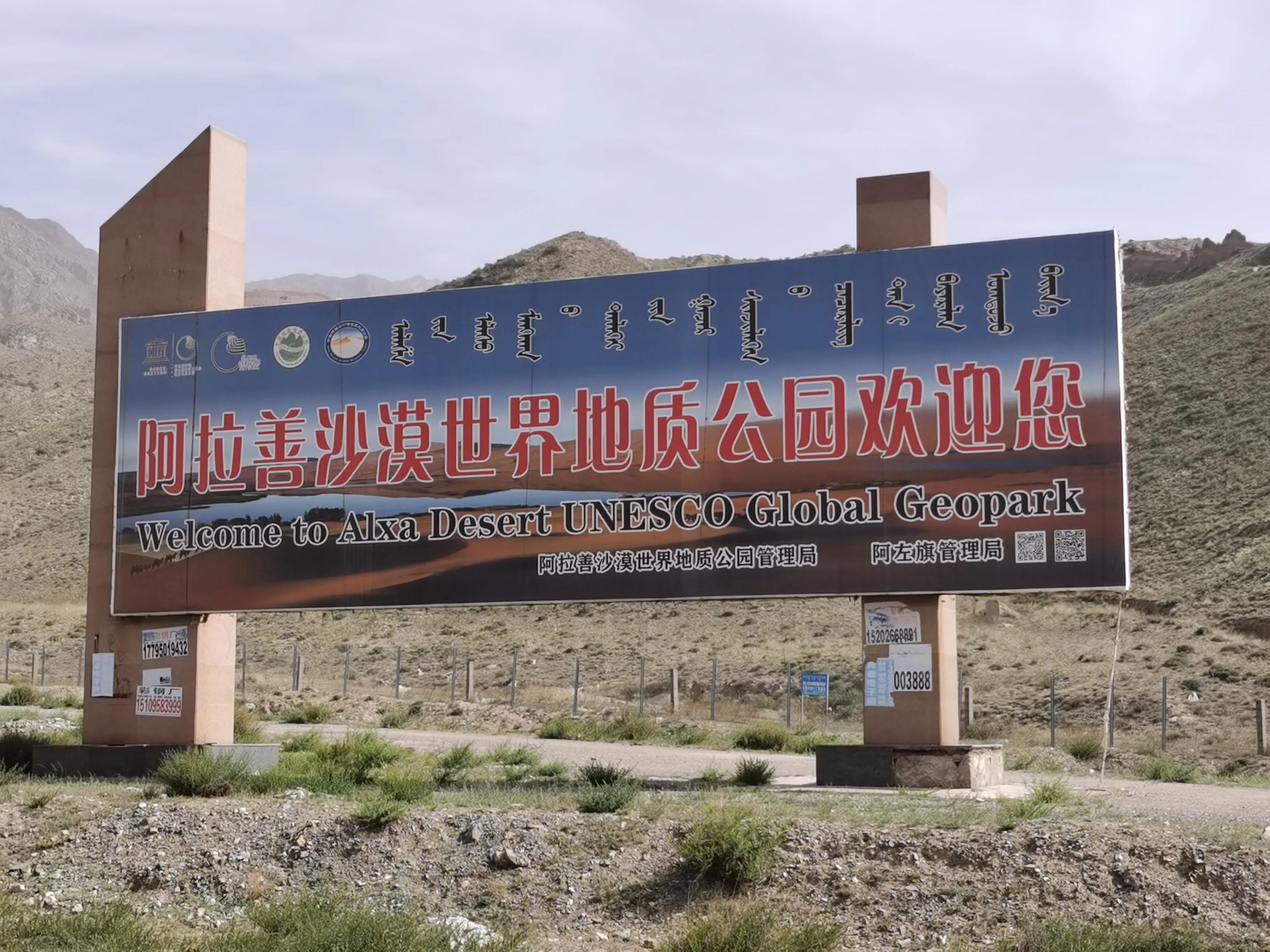 腾格里沙漠和沙坡头项目哪里划算,宁夏银川腾格里沙漠中卫沙坡头