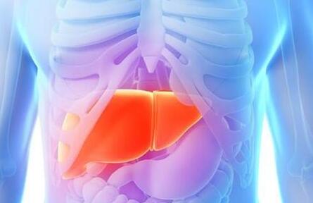 肝血管瘤的8个知识点,什么叫肝血管瘤严重吗