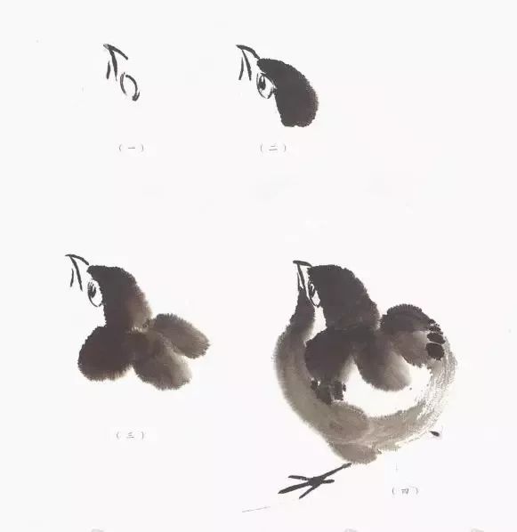 100种国画禽鸟画法,简单易学的禽鸟脚掌画法