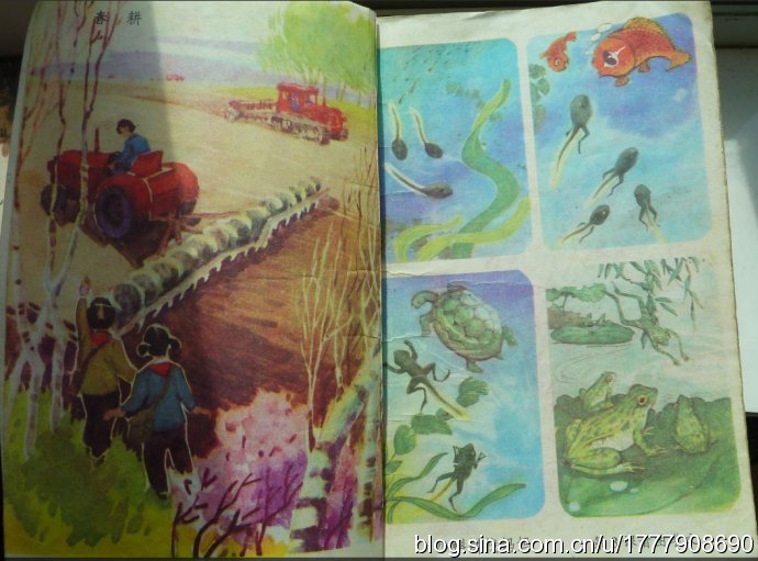 珍藏版：1987-1988年人教版五年制小学语文全集