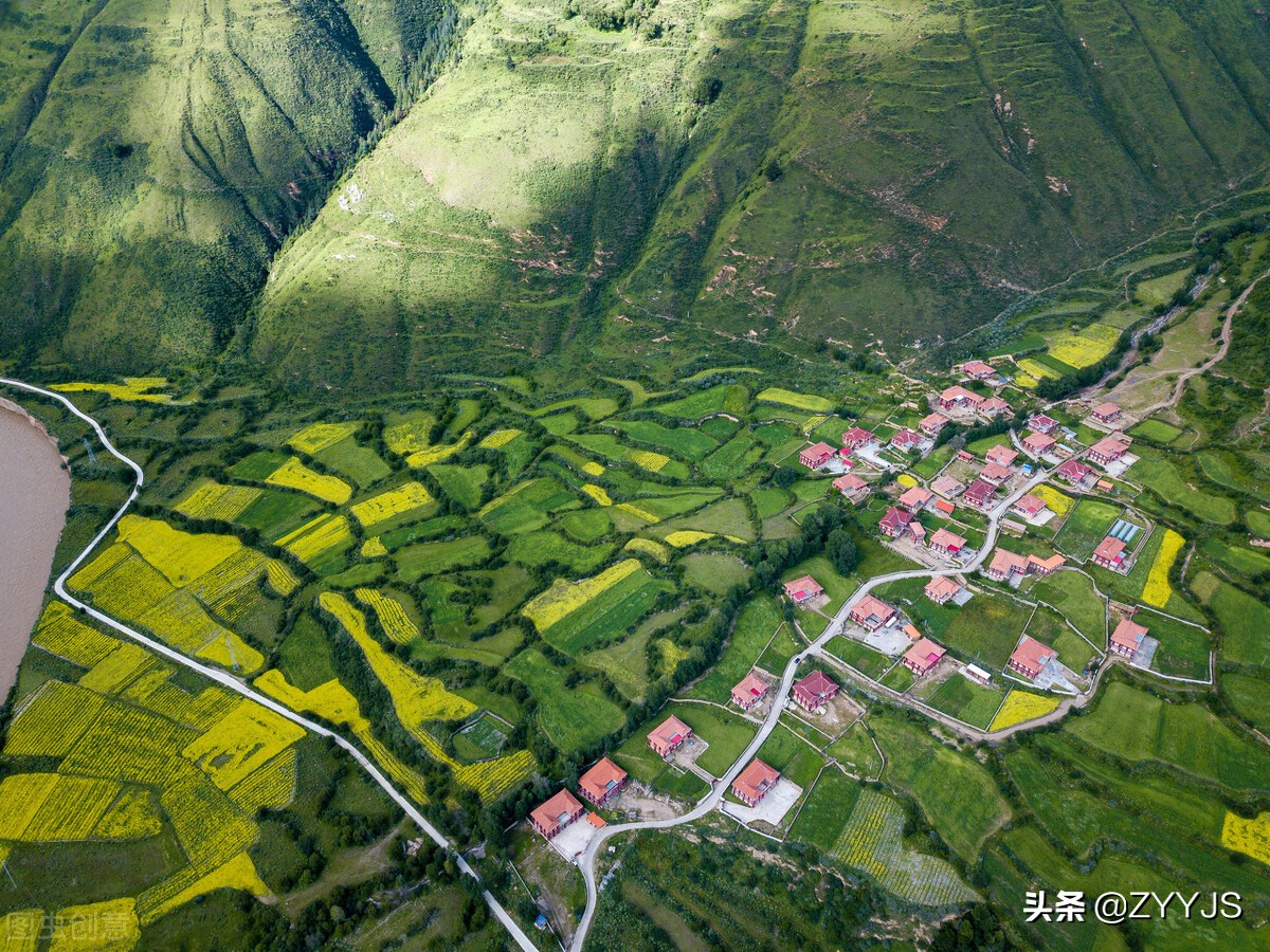 藏地中草药,川藏中草药