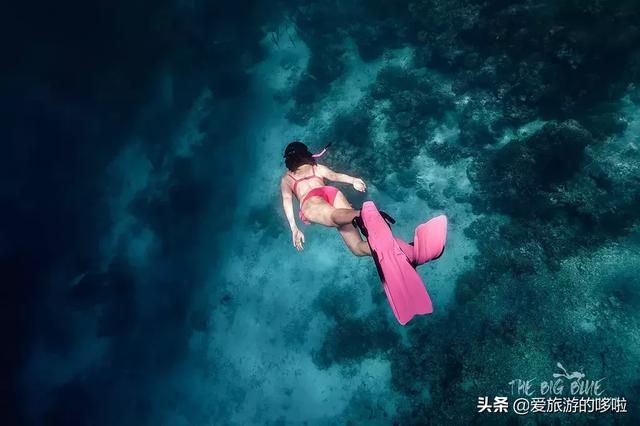 现在可以去哪些海岛旅游,现在去哪个海岛比较便宜