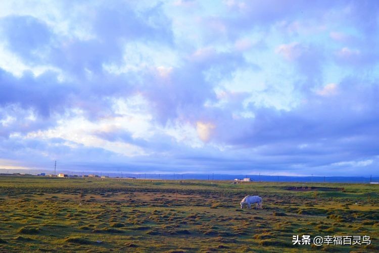 有了这攻略,自驾*藏西**游省心很多