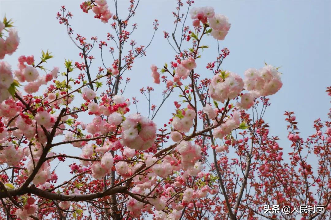 太湖骑行步道,无锡太湖骑行绿道