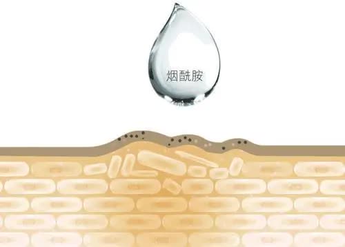 殊润祛斑套,殊润祛斑套盒