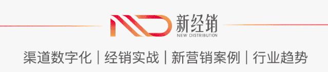 2年业绩暴增2000%，上百款SKU，鲨鱼菲特的爆品打法是？