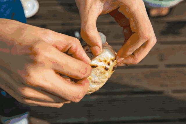 趁着午休两小时，他们在天台上组了个jió盆烤肉趴