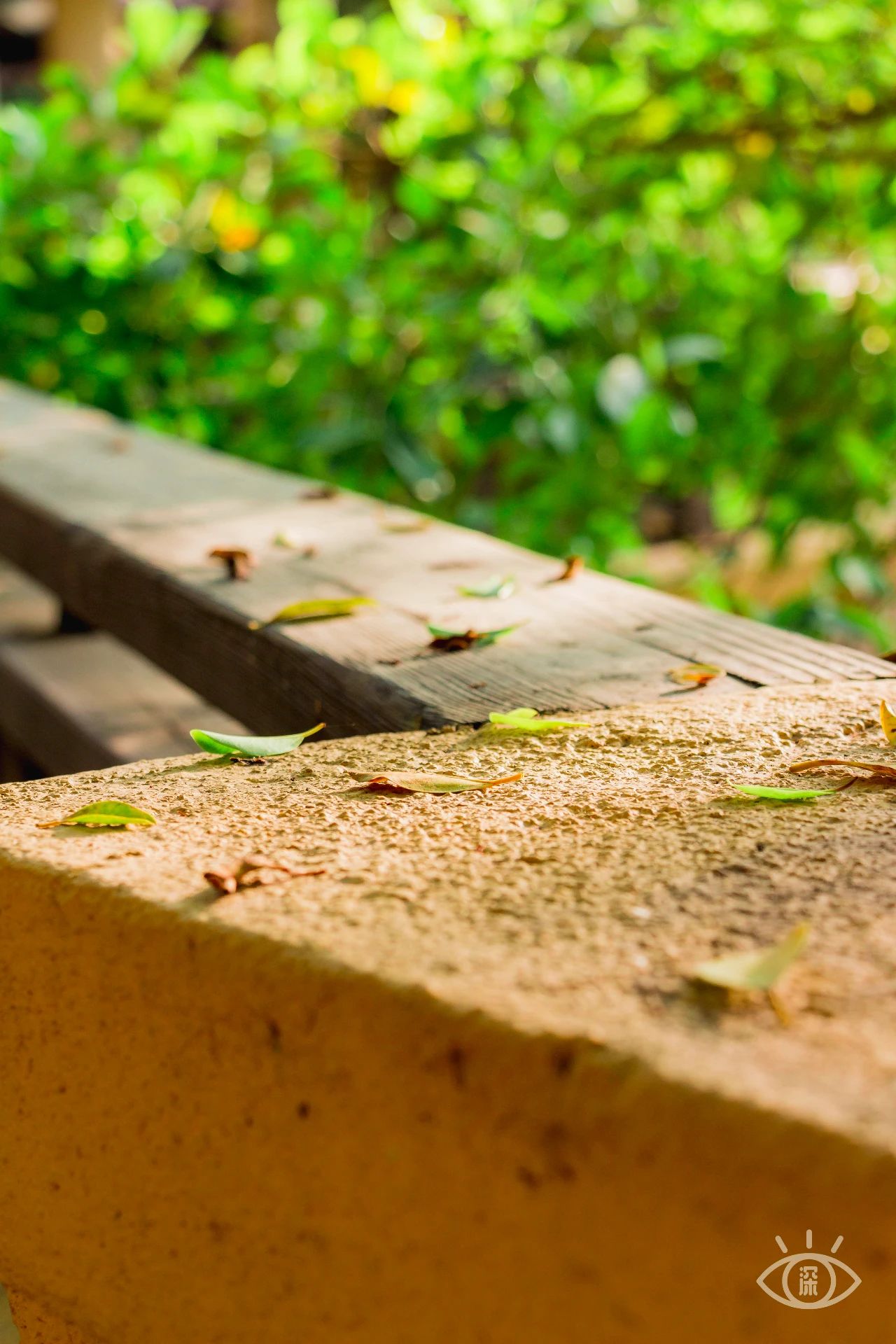 隐藏在深圳的风景,神秘古堡是拍照打卡圣地