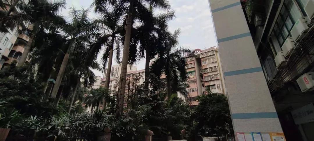 东晓南板块怎么样,东晓南地铁上盖楼盘