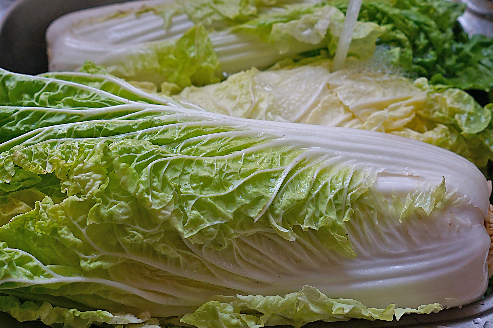 酸菜在家自己做2天就能吃,酸菜不要晒的腌制方法