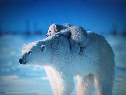 令人动容的图片,令人动容的电影大全
