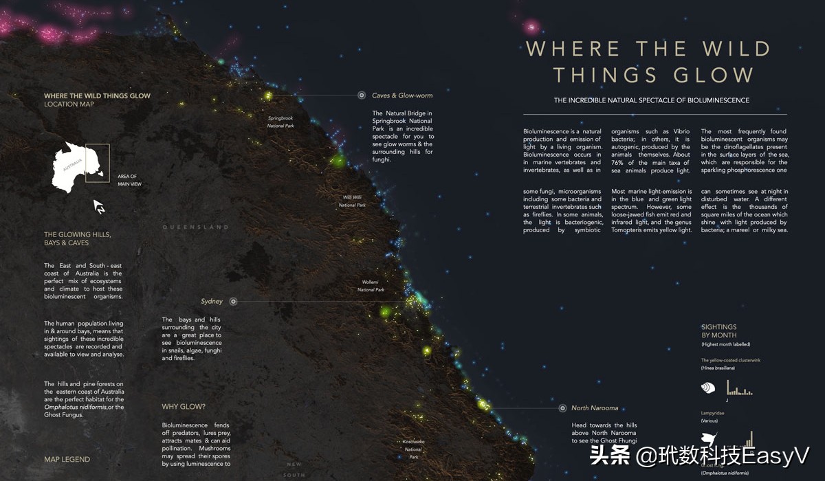 数据分析10个成功案例,健康数据可视化案例