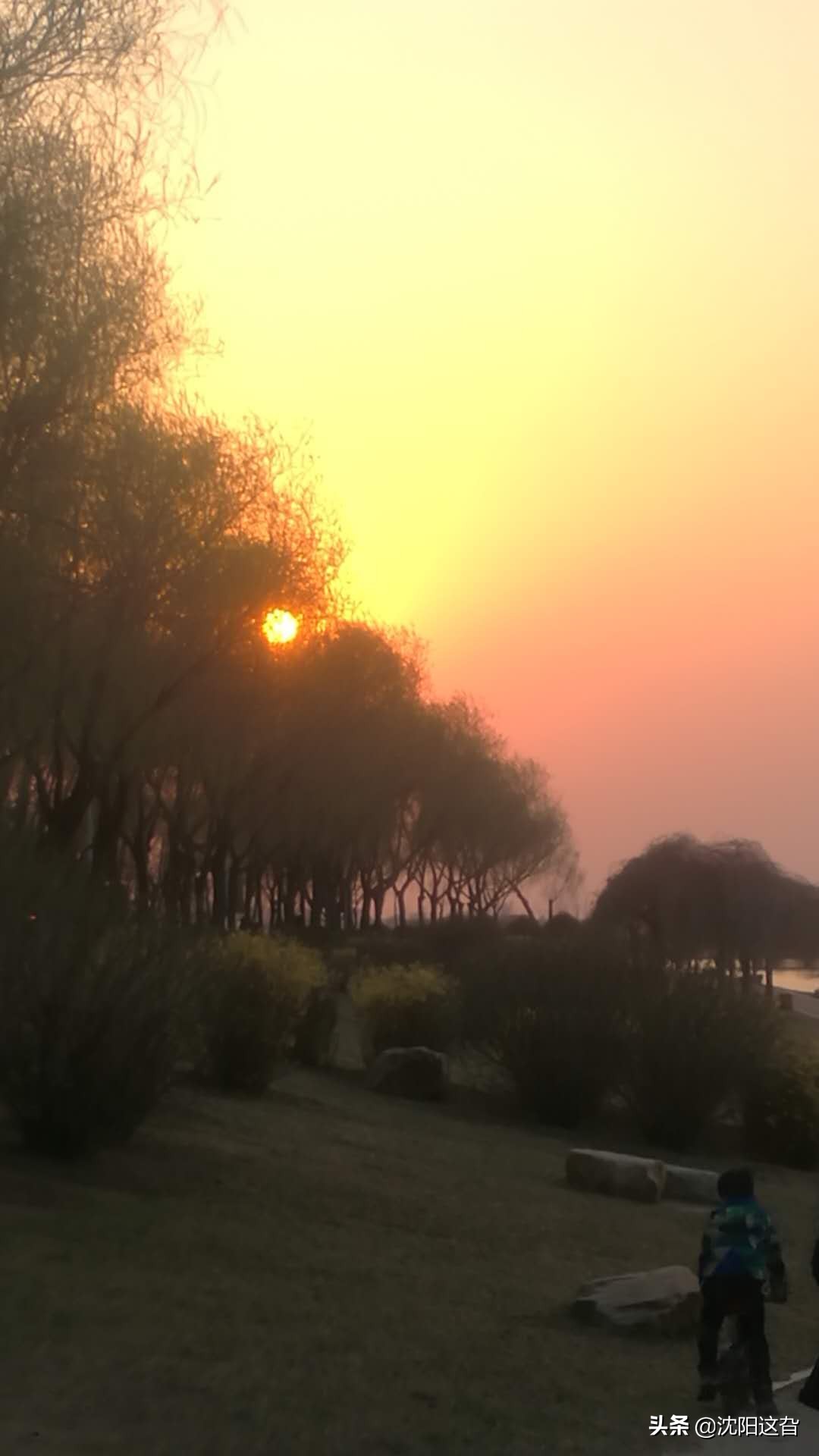 丁香湖真的太美啦,丁香湖的四大景观