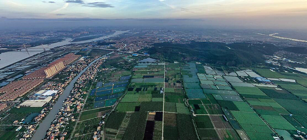 广州南沙区哪个镇最好,南沙最强镇