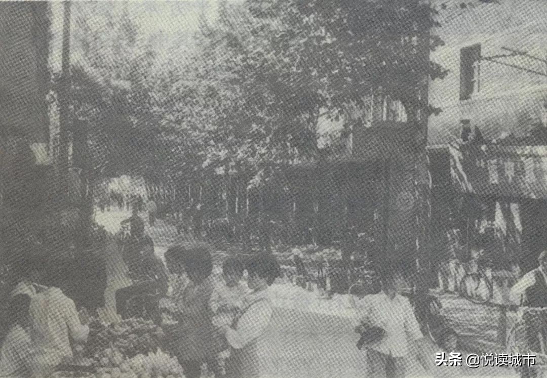 金秋赏“金”：新老照片对比金山发展老金山都不一定认得全