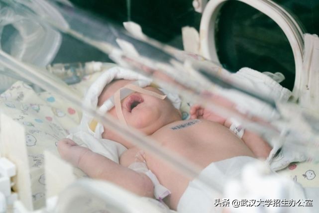 从湖北农村山里娃到薪资最高主任科学家，他受国家领导人之邀，毅然弃美回国！