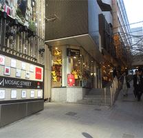 日本jr新宿,日本jr新宿站通道