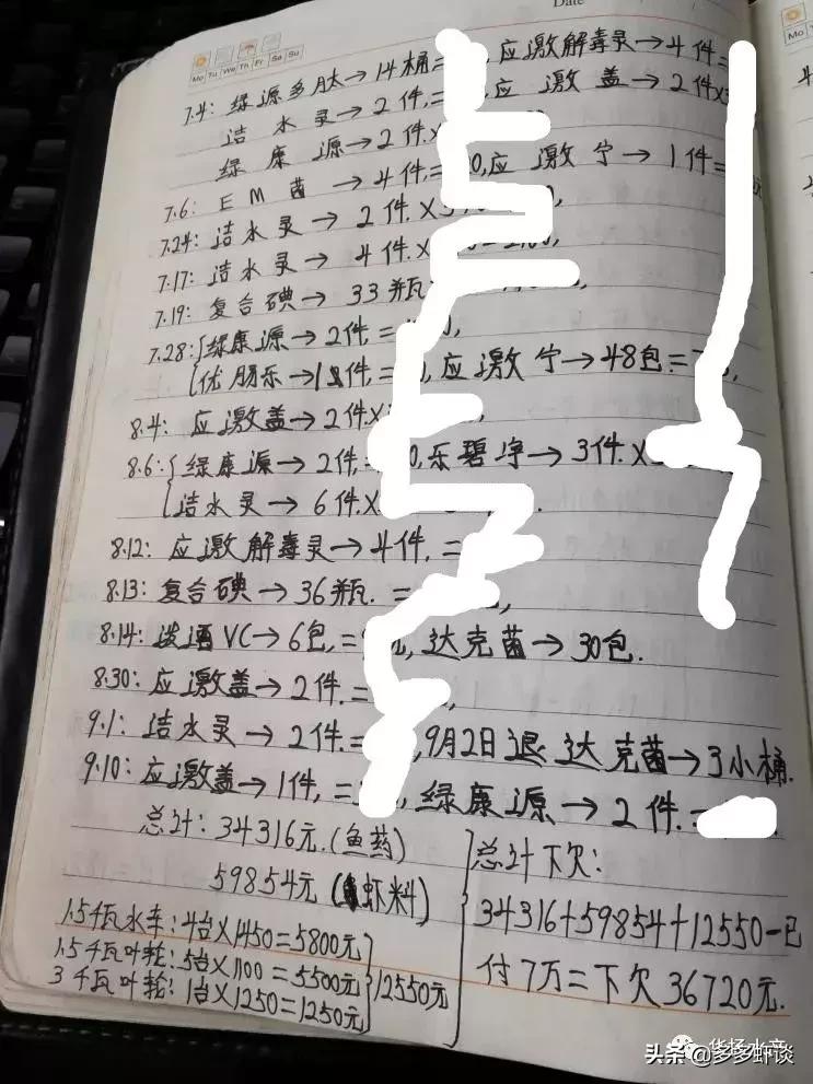 虾蟹高效养殖方法和技术,虾蟹混养如何提高青虾的养殖效益