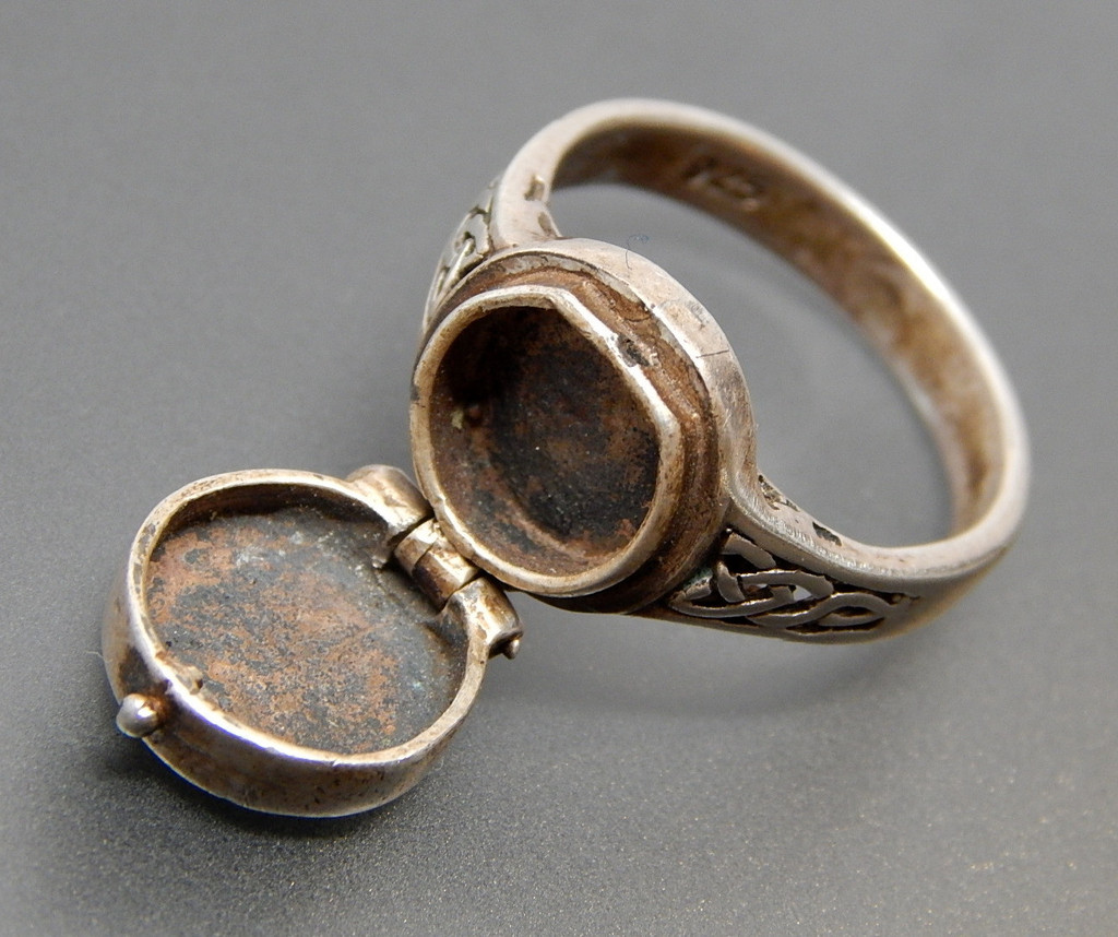 毒药公爵西泽尔波吉亚,毒药公爵凯撒波吉亚