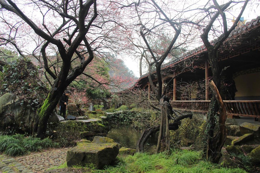 根博园根雕,根宫佛国根雕视频