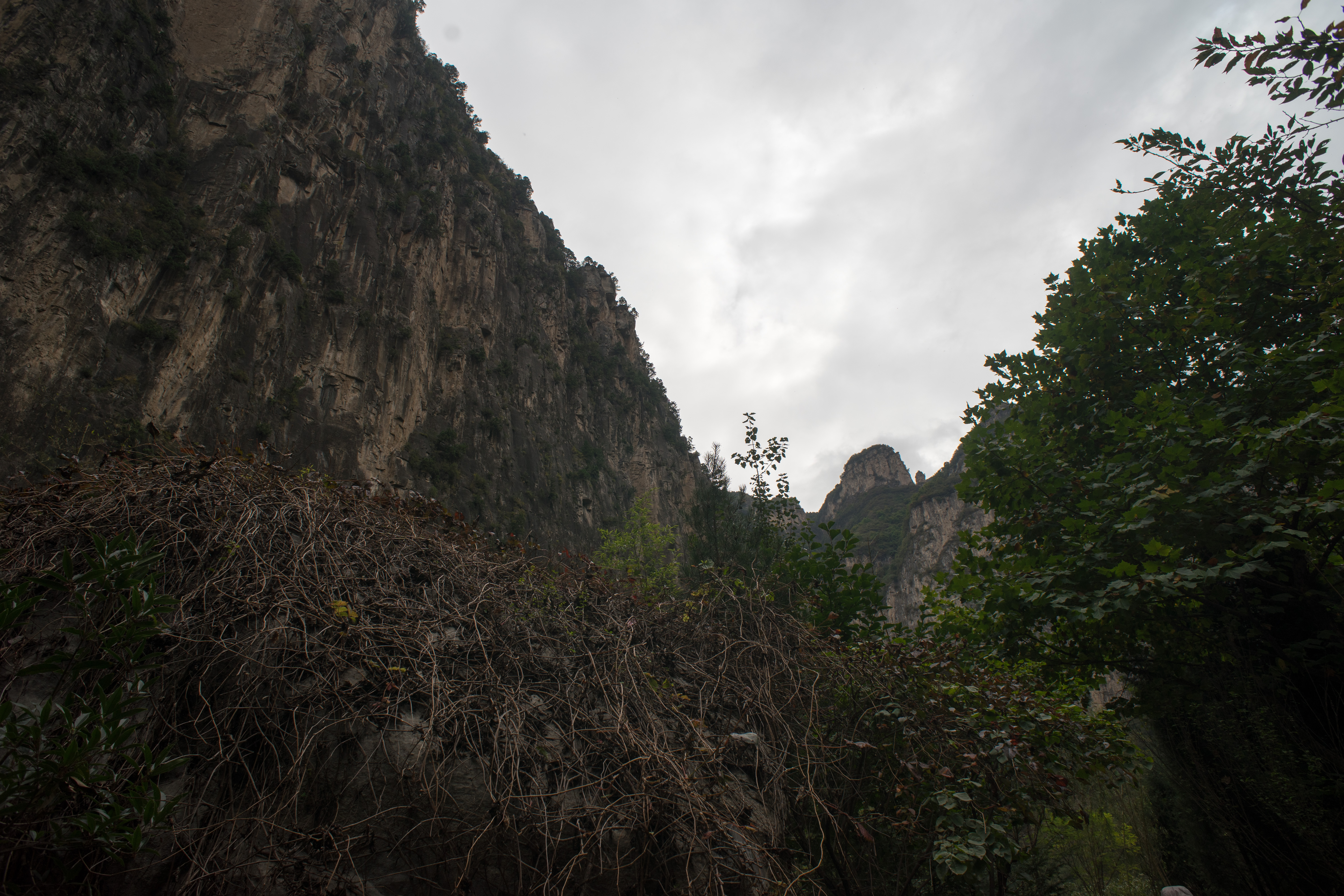 山西壶关南太行山自驾游路线推荐,壶关太行山大峡谷自驾游买门票吗