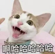 我竟然用一支口红的钱,承包了超市的半个货架?!