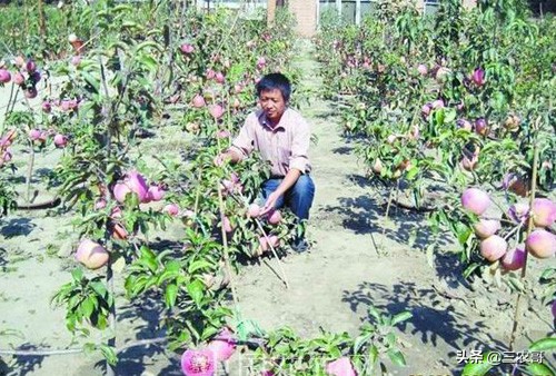 农村致富小投资的创业项目有哪些,适合穷人的18个创业项目农村投资