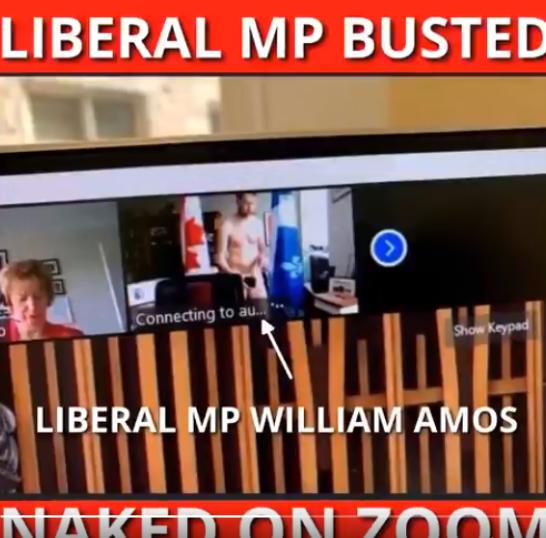 加拿大议员视频会议出镜,加拿大议会拍摄镜头